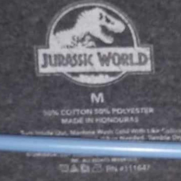 Jurassic World t-shirt JURASSIC PARK size Medium Gray Unisex - Picture 3 of 3
